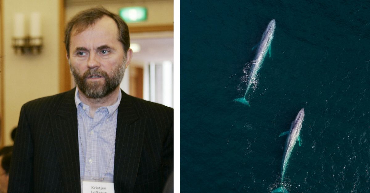 Millionaire Brutally Kills Rare Blue Whale Hybrid—And Vows To Kill 150 More This Summer Alone 😡