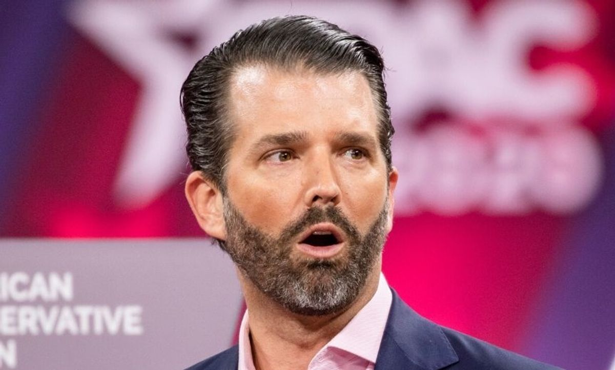 READ: Donald Trump Jr. Says: 'Can Someone Tell Me How Peter Alexander's ...