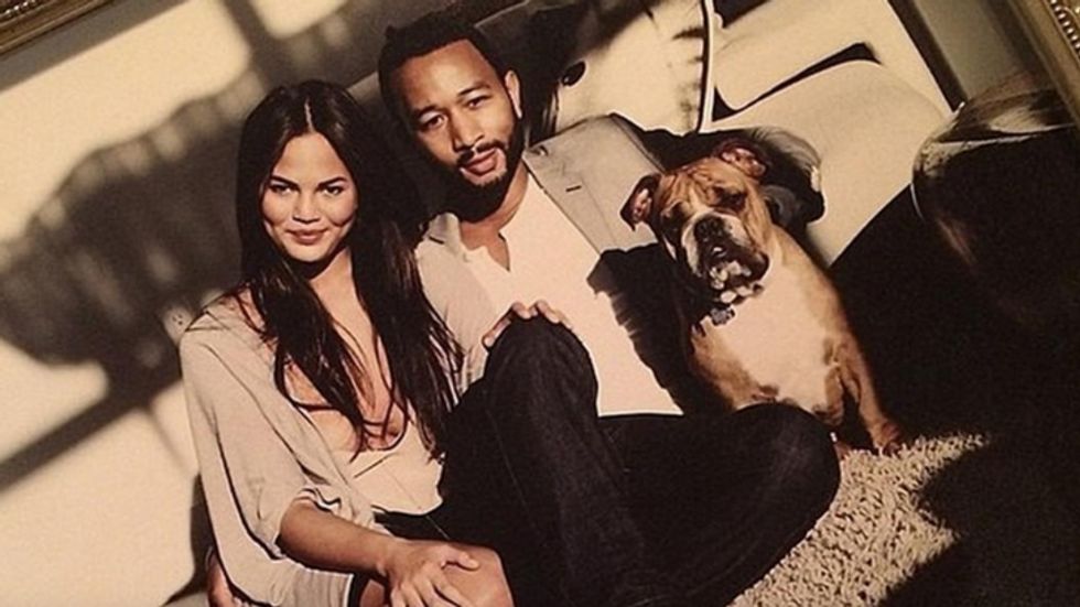 WATCH: Chrissy Teigen Shares Update on Beloved Bulldog's Health