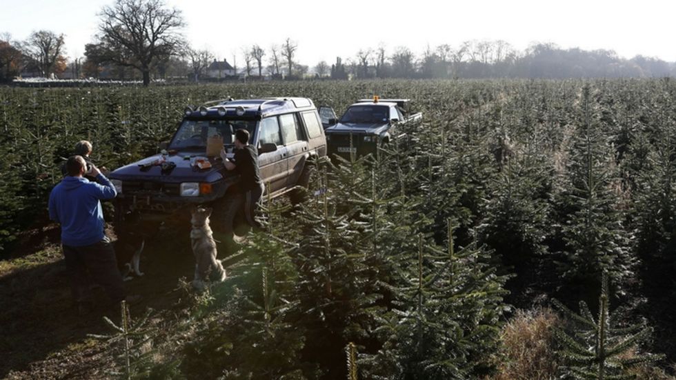PHOTO: Police Share Photo of How Not to Drive With Your Christmas Tree
