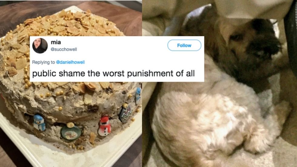 PHOTOS: YouTuber Daniel Howell's Dog Eats Family's Christmas Cake