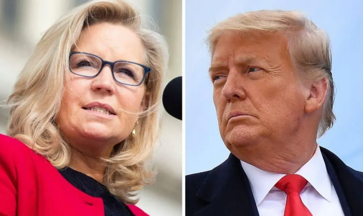 Liz Cheney Invokes W. Bush to Troll Trump Over Reelection