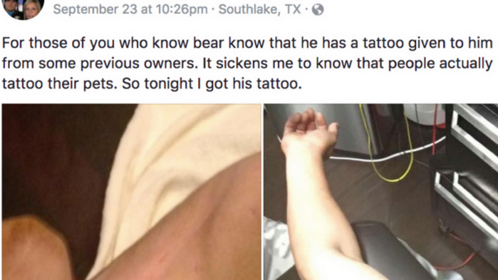 PHOTO: Man Gets Tattoo To Match One On Rescue Dog