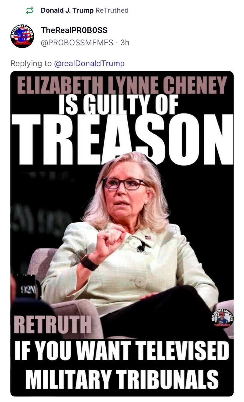 screenshot-of-meme-donald-trump-shared-accusing-liz-cheney-of-treason.jpg?id=52521446&width=980