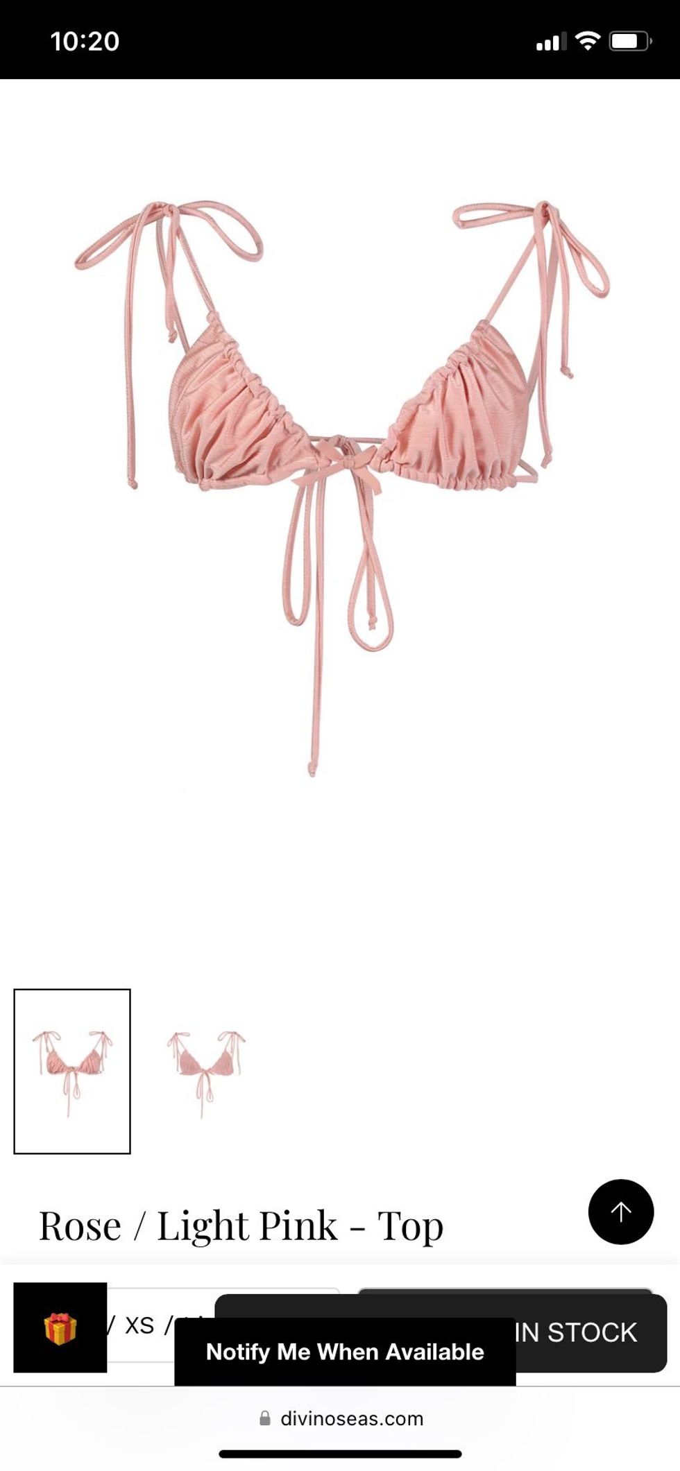 Screenshot of DivinoSeas' Rosa Parks-inspired bikini